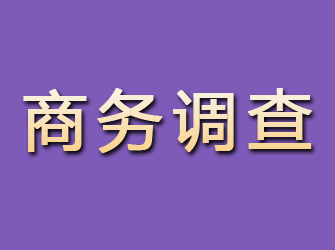 武山商务调查